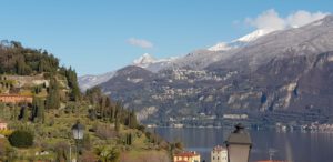 Gallery Thumbnail 14